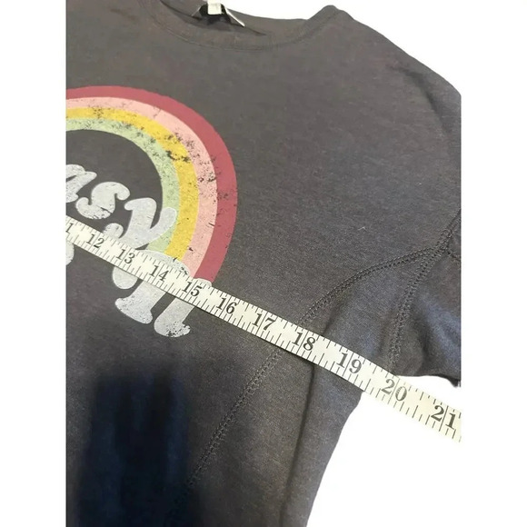 Wildfox Rainbow Lightweight Pullover Size XS Oversized Tunic NWT Crewneck - Picture 4 of 7